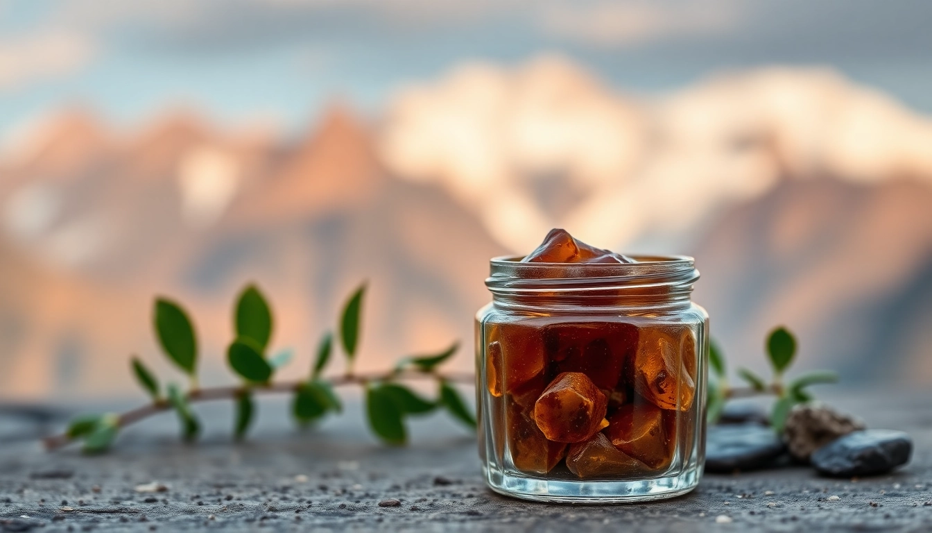 Buy Shilajit Australia premium quality Shilajit resin in a glass jar with Himalayan backdrop.